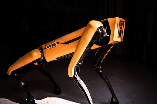 Robotic Dog